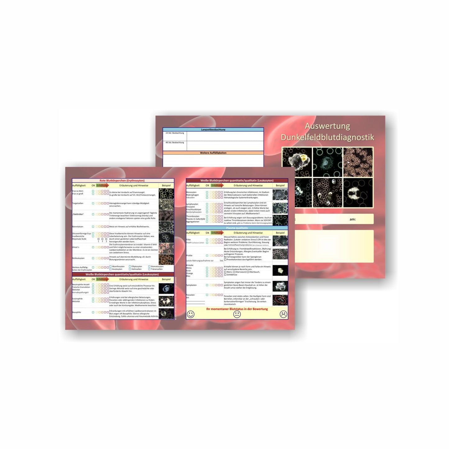 Auswertungsbogen: Basisdiagnostik