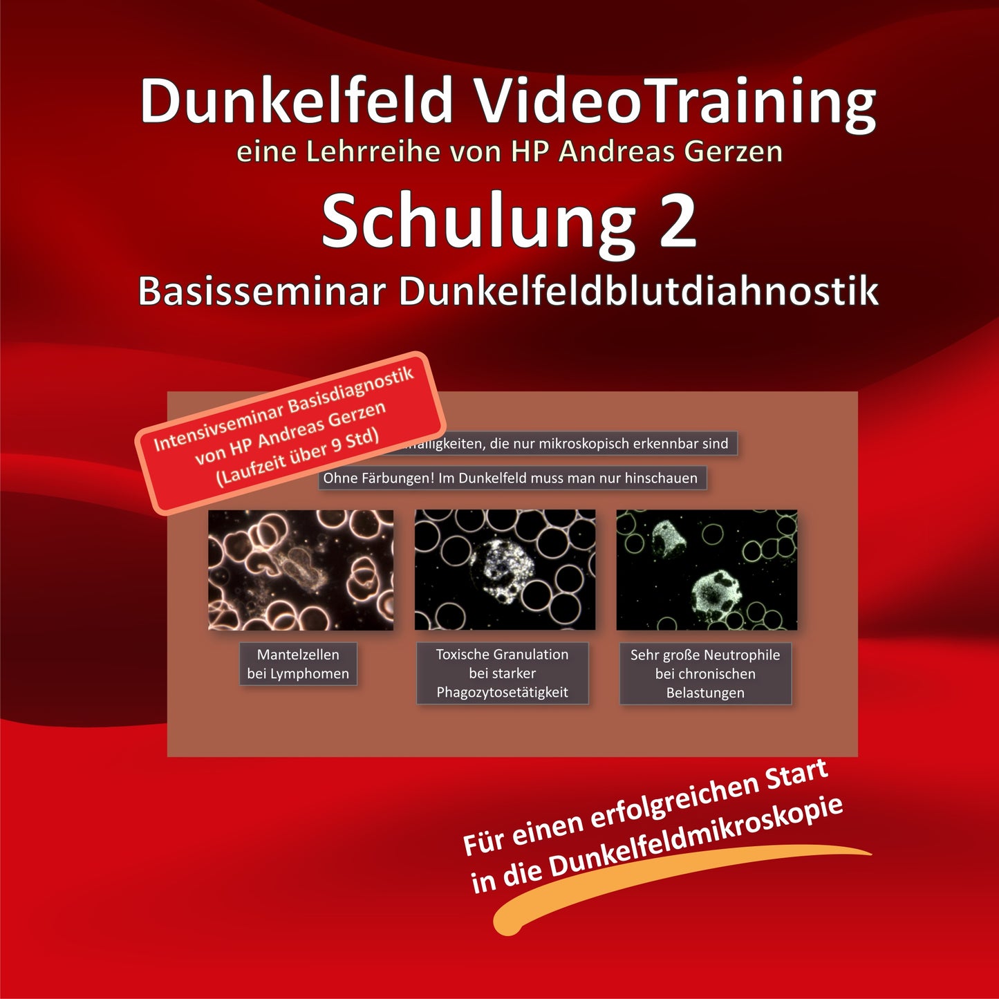 Basisdiagnostik- Schulung 2