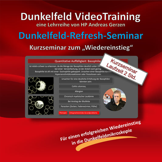 Dunkelfeld-Refresh-Seminar